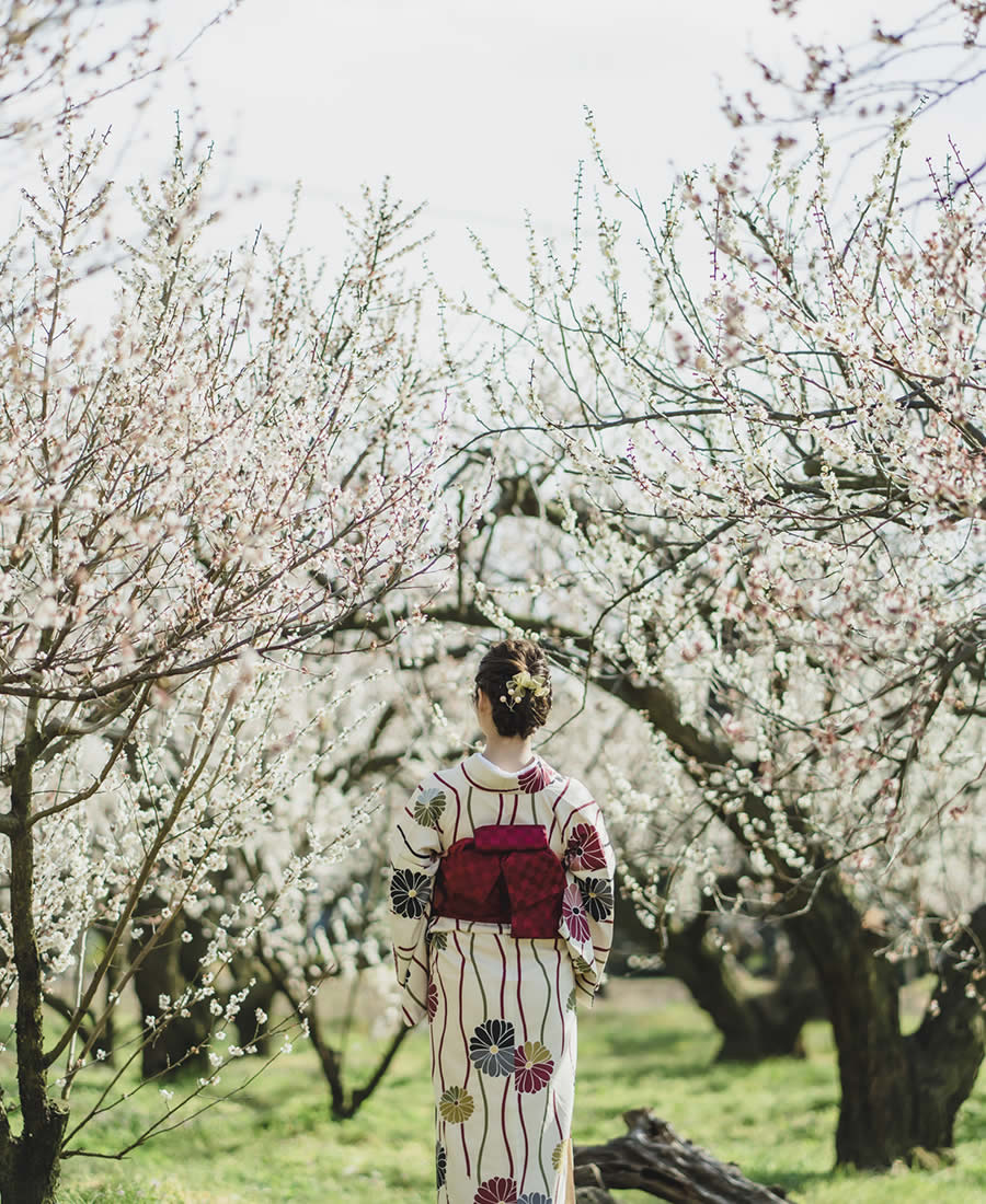 【The power of plums～梅のチカラ～】想像を超えた、梅のチカラ。