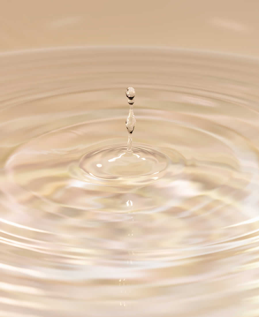 【梅ポリフェノールのチカラ】成分でわかる､肌を守る梅のチカラ。