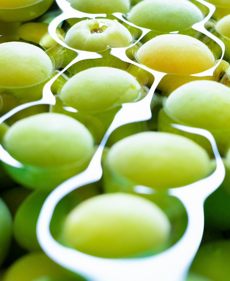 【梅ポリフェノールのチカラ】肌ダメージの蓄積に梅ポリフェノールでメンテナンス