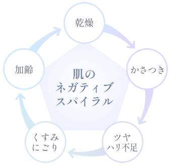 乾燥 かさつき ツヤ　ハリ不足 くすみにごり 加齢 肌の ネガティブ スパイラル