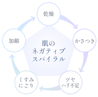 乾燥 かさつき ツヤ　ハリ不足 くすみにごり 加齢 肌の ネガティブ スパイラル