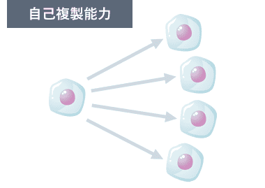 自己複製能力